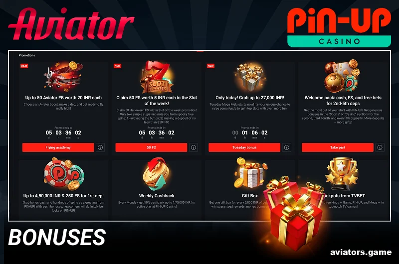 Promotions and bonuses at Pin Up Aviator for Indian players